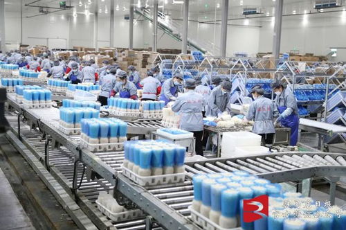 跨越3000亿的农业科技力量 驻马店食用菌研发新突破