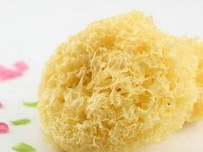 从山间瑰宝到科技名片 福建古田银耳的食用菌产业蜕变